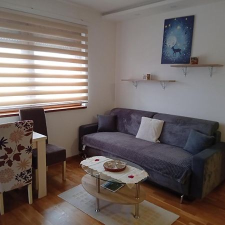 Iva Apartment Zlatibor Bagian luar foto