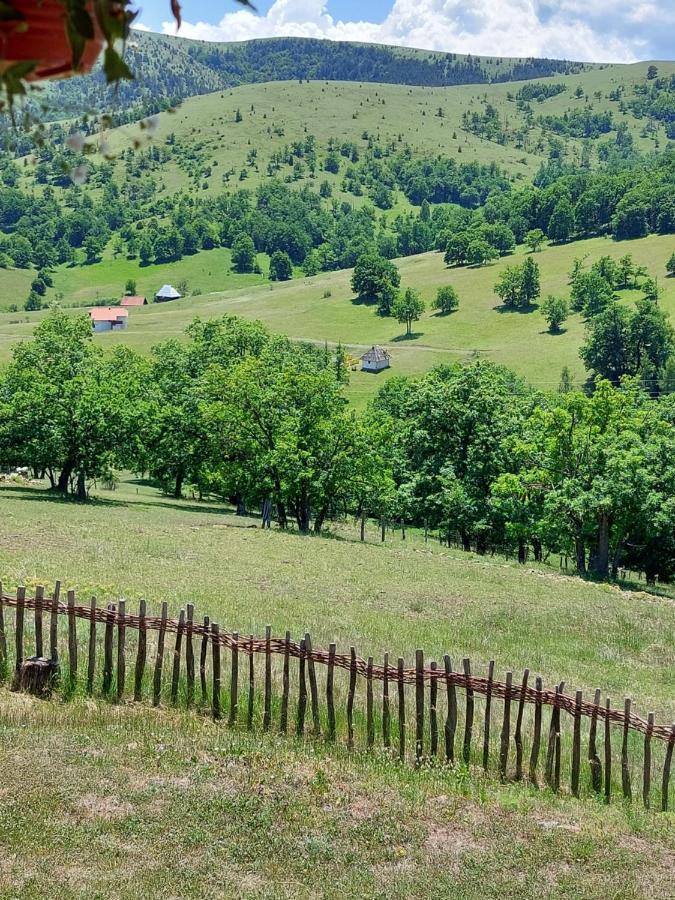 Iva Apartment Zlatibor Bagian luar foto