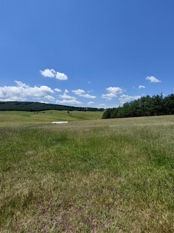 Iva Apartment Zlatibor Bagian luar foto